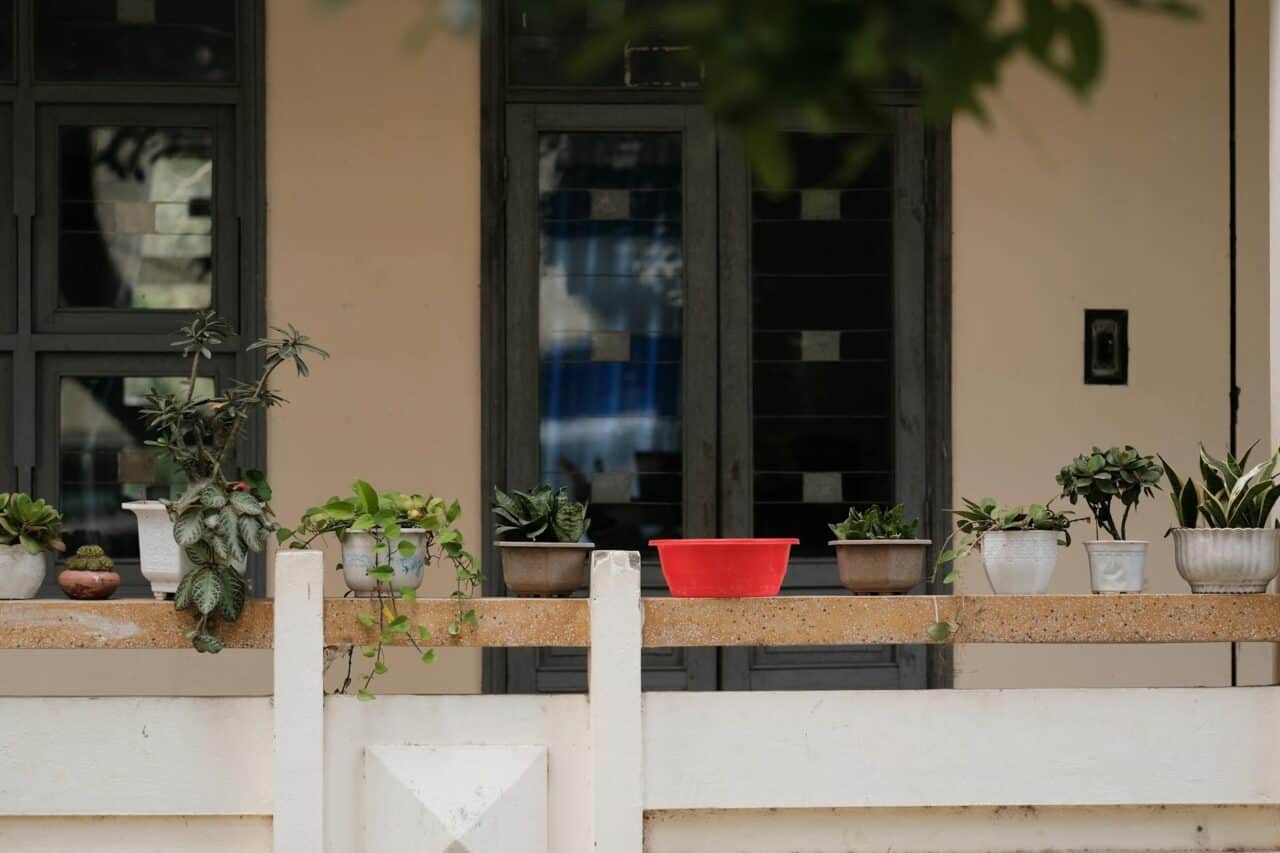 Výsadba balkónových kvetov v apríli do truhlíkov na slnečnom balkóne