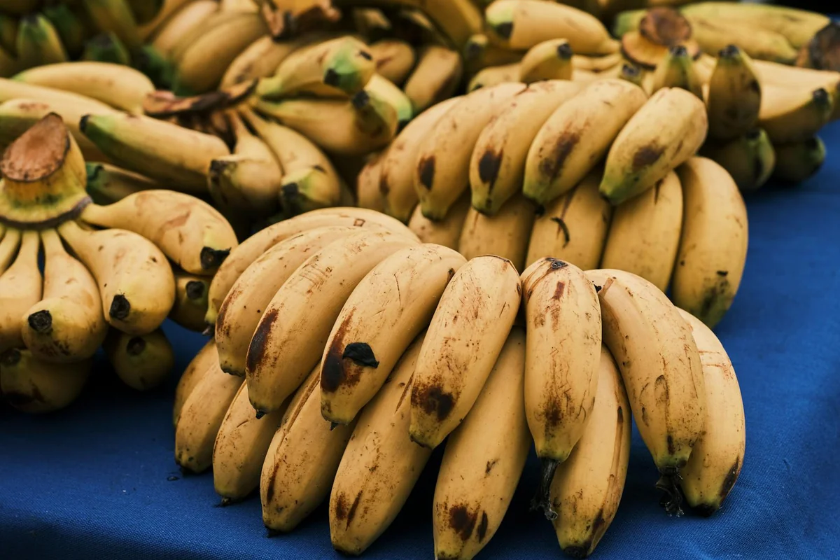 Ripe bananas displayed in bunches on a blue surface, highlighting their tropical appeal.