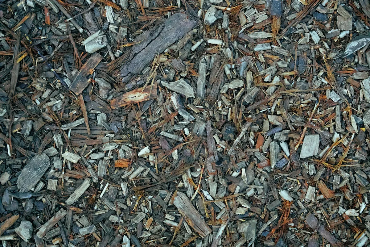 Close-up of wood chips on the ground with rich texture, natural mulch for gardens.