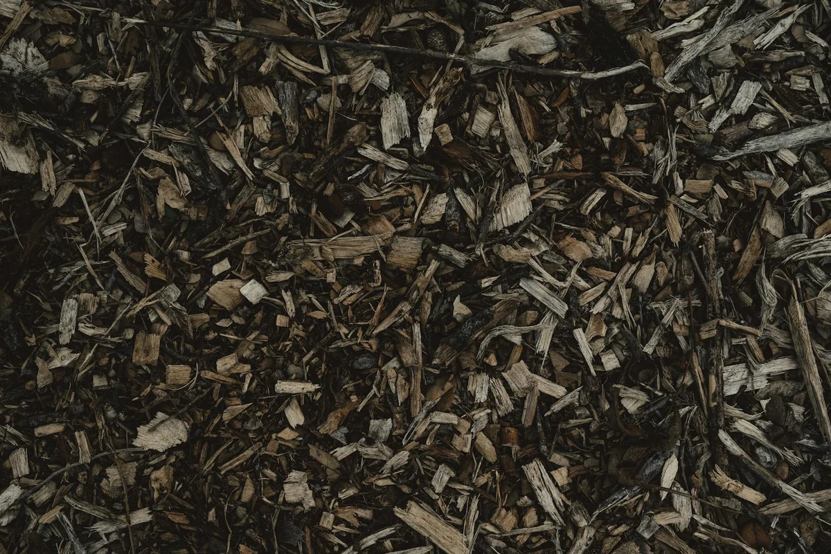 Detailed view of a natural wood chips texture, perfect for backgrounds or eco-themed designs.