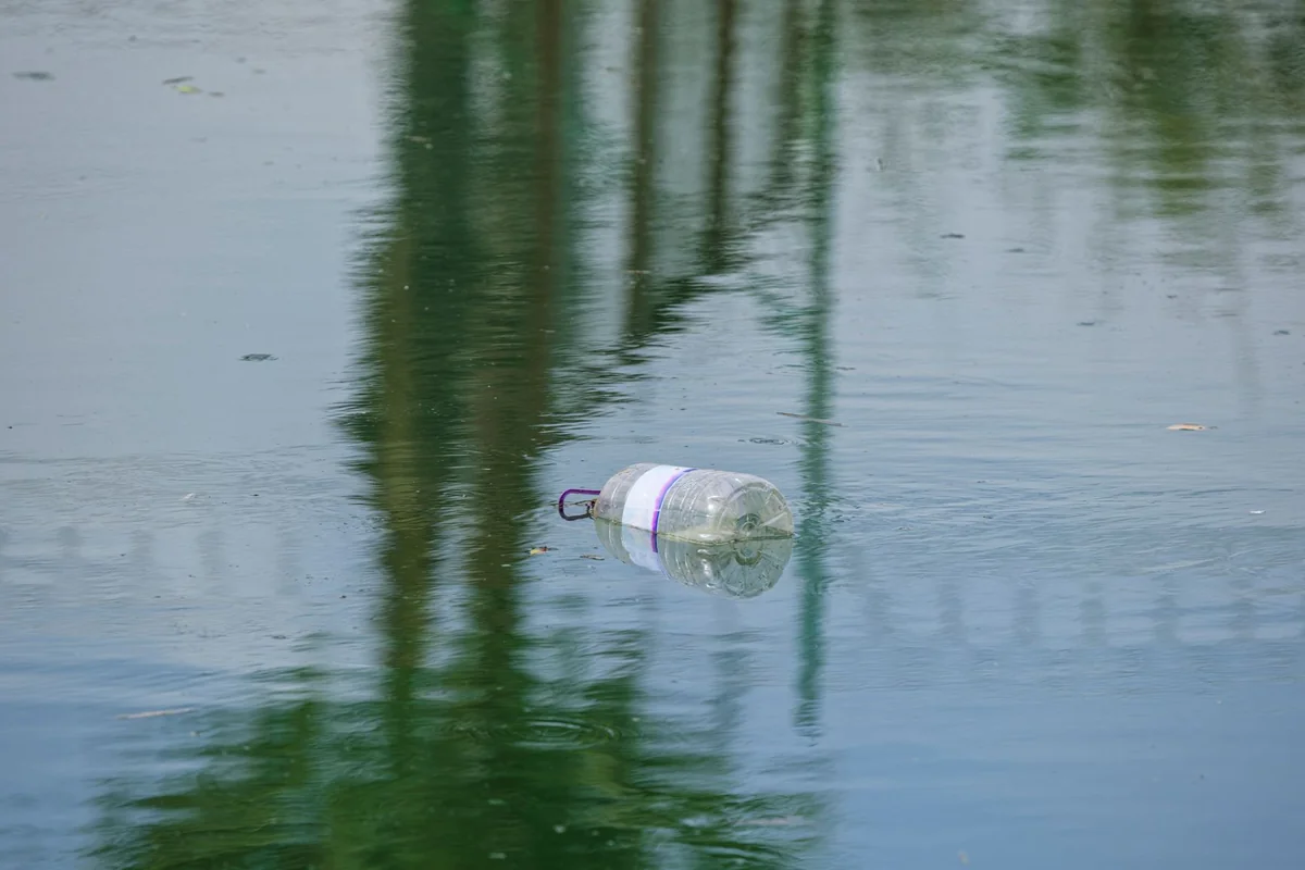 A plastic bottle floating in a polluted river highlights environmental pollution issues.