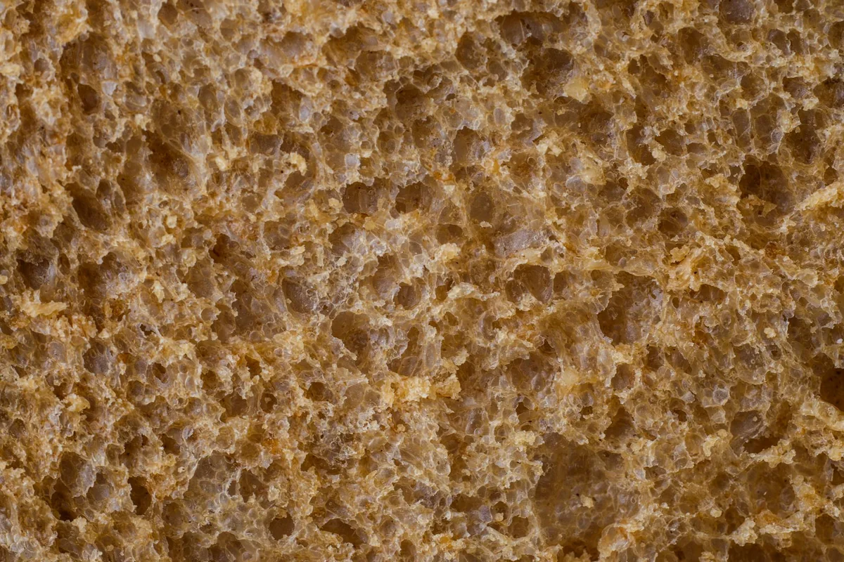 Detailed close-up of whole wheat bread showing its unique texture and porous structure.