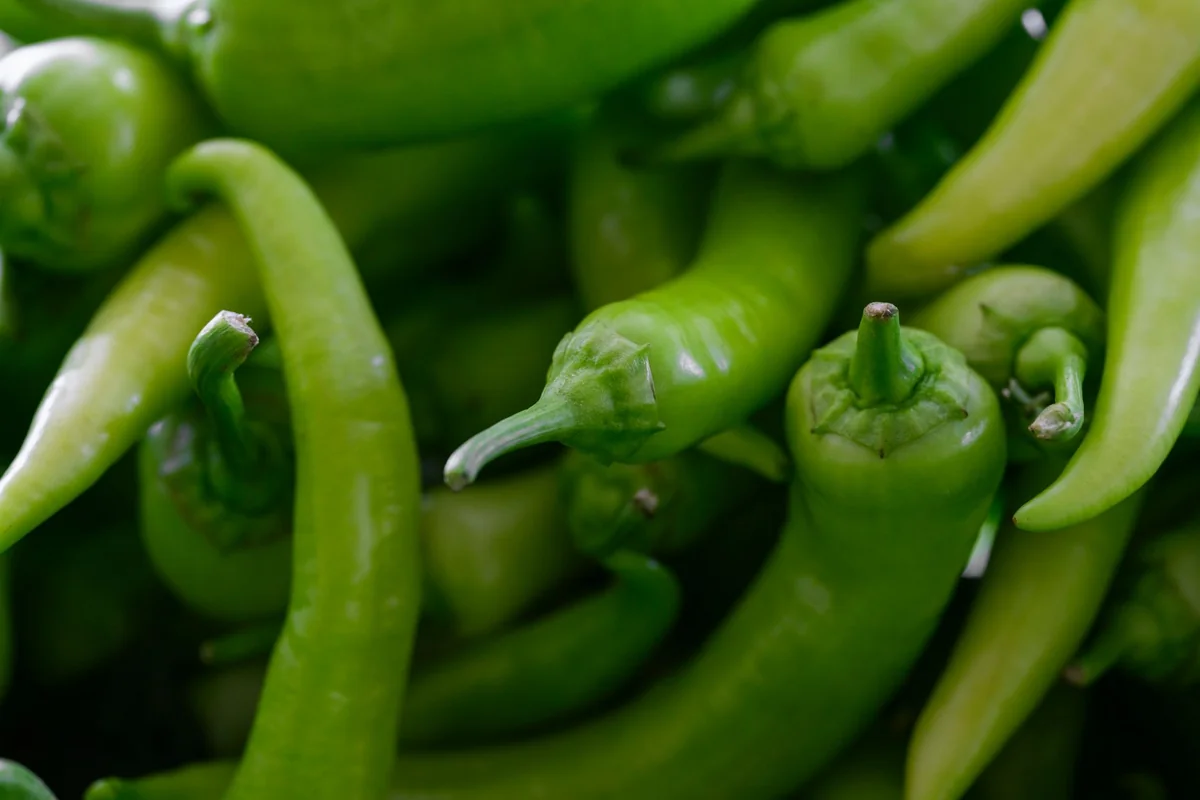 Vibrant fresh green chili peppers in a close-up shot ideal for food and organic produce themes.