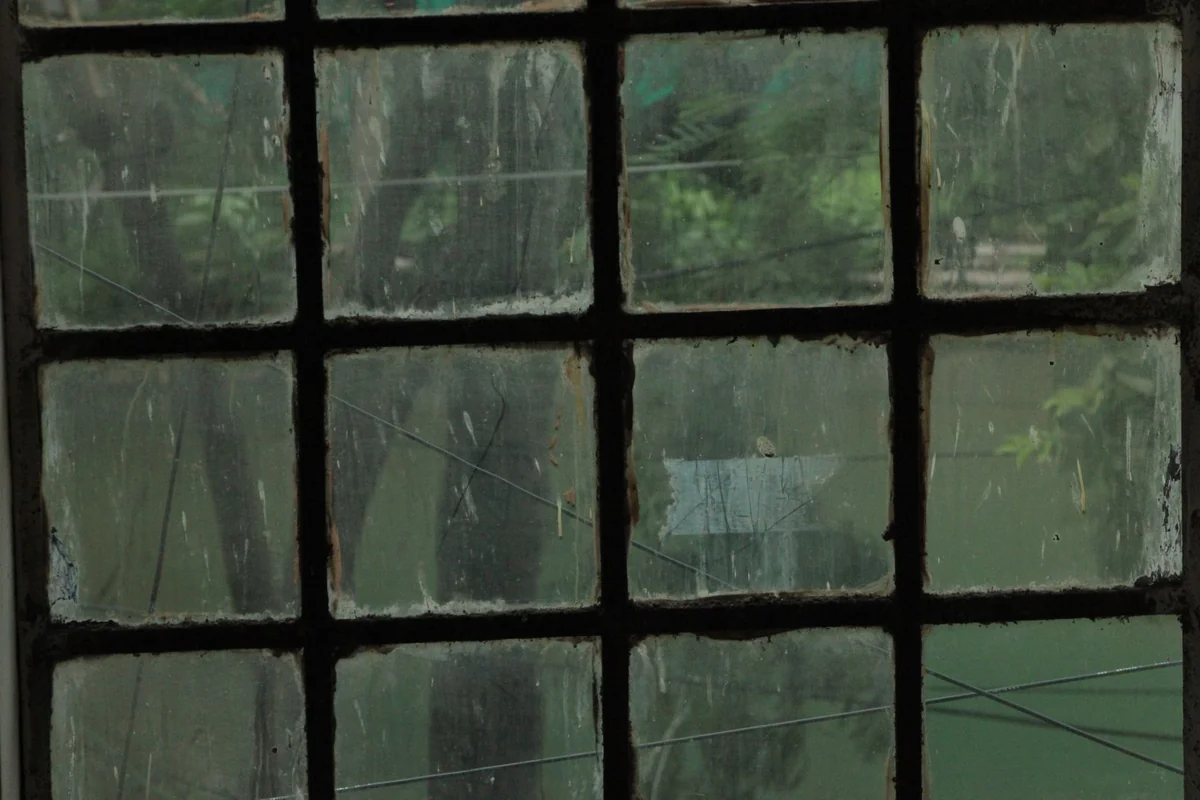 Dirty window with rusted frames revealing a blurred view of outdoor greenery.