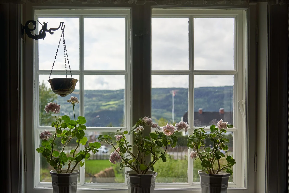 Charming view through a rustic window adorned with potted geraniums and countryside scenery.