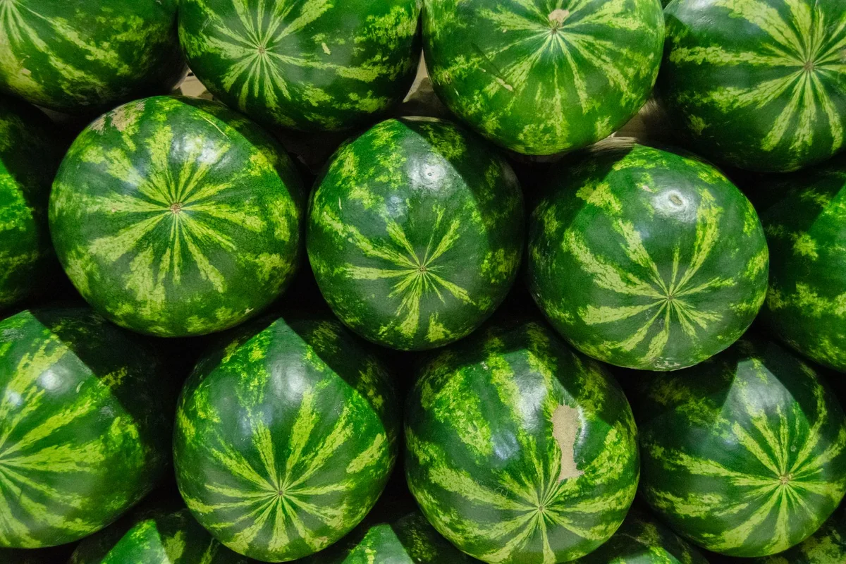 melóny nepriberajú